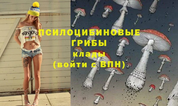 наркотики Горняк