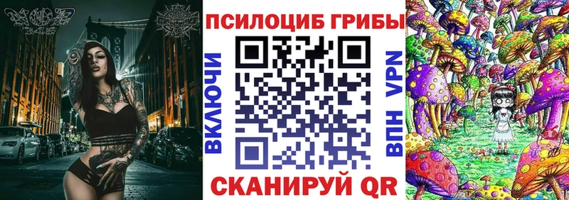mega tor  Далматово  Галлюциногенные грибы Psilocybine cubensis 